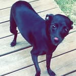 Gavin York - @york.gavin - Instagram