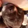 Gavin York - @user565139411 - TikTok