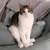 gaylybailey - @gaylybailey - TikTok