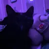 Collins - @collins.gay - TikTok