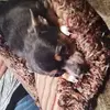 Gayle Dunlap - @gayle.dunlap - TikTok