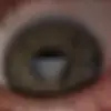 Fish gay - @gaybossfish - TikTok