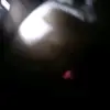 gay fish - @br0di37 - TikTok