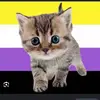 gay fish - @gay.fish2 - TikTok