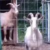 gregorygay7760 - @gregorygay7760 - TikTok