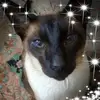 Gay Creighton-Thomas - @gaycthomas - TikTok