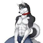 gay wolf - @furry_gaywolf - Instagram