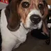 Gaye Williams - @gaye.williams1 - TikTok