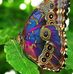 Gayla Wright - Facebook