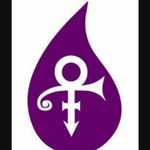 Gayle Bailey - @fatcats234 - Instagram