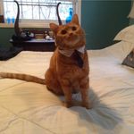 Gayle Bailey - @gayle.bailey.925059 - Instagram