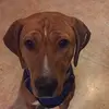 abbigylebarton - @abbigaylebarton2 - TikTok