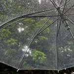 Gayle Barton - @7so1wnx8r4 - Instagram