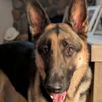 Gayle Bunch - Facebook