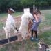 Gayle W. Dewitt - Facebook