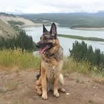Gayle Hiebert - @hiebertgayle - Instagram