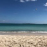 Gayle Hoffman - @gsophia61 - Instagram