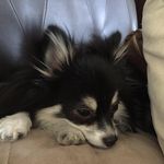Gayle Hoffman - @gayle7086 - Instagram