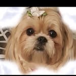 Gayle Hutton Martin - @gayle.martin.771 - Instagram