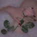 Gayle Jovei - Facebook