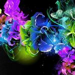 Zoia Kosheleva - @gayleroach29 - Instagram
