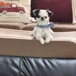 Gale Shields - @gale.shields - Instagram