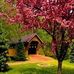 Gayle Sumner - Facebook