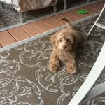 Gayle Sutton - @sutton.gayle - Instagram