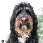 Gayle Temple Frank - @gemi2lionsandalittlehouse - Instagram