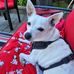 Gayle Thomas - Facebook