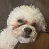 gaylethomas87 - @gaylethomas87 - TikTok
