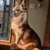 gaylegangware - @gaylegangware - TikTok