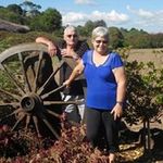 Gaylene Rayner - @gaylenerayner - Instagram