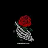 gaziabdullah229 - @gaziabdullah475 - TikTok