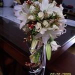 Geetha Mathew - @geethaval - Instagram