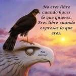 Gelacio Rodriguez - @gela_roguz - Instagram