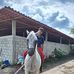 Gelacio Rodríguez - Facebook