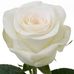 Geli Alvarez - Facebook