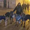 Gema Herrera - @gema.herrera38 - TikTok