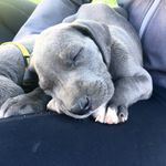 Gemma - @gemma_asha_lace - Instagram