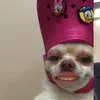Gemma - @gemma.ashleyy - TikTok