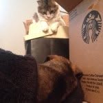 Gemma & Booker - @thoughtofalove - Instagram