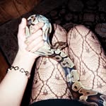 Gemma Bowie Jin - @gemmabowiejin - Instagram