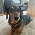 Gemma Brooks - Facebook