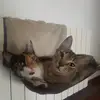 Gemma Casas Maestre - @gemmacasasmaestre - TikTok