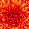Gemma Casas Papell - @user77015237 - TikTok