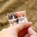 Gemoy Chuby - Facebook