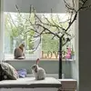Gemma Cobb - @gemma.cobb - TikTok