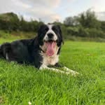 Gemma Cox - @gemski3164 - Instagram