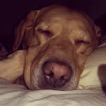Gemma Cross - @trudy228448 - Instagram